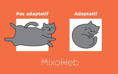 Non Adaptatif VS Adaptatif