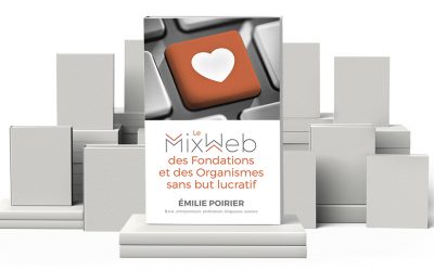 Lancement de mon nouveau livre : Le MixWeb des fondations et des organismes sans but lucratif